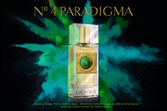 4 PARADIGMA
