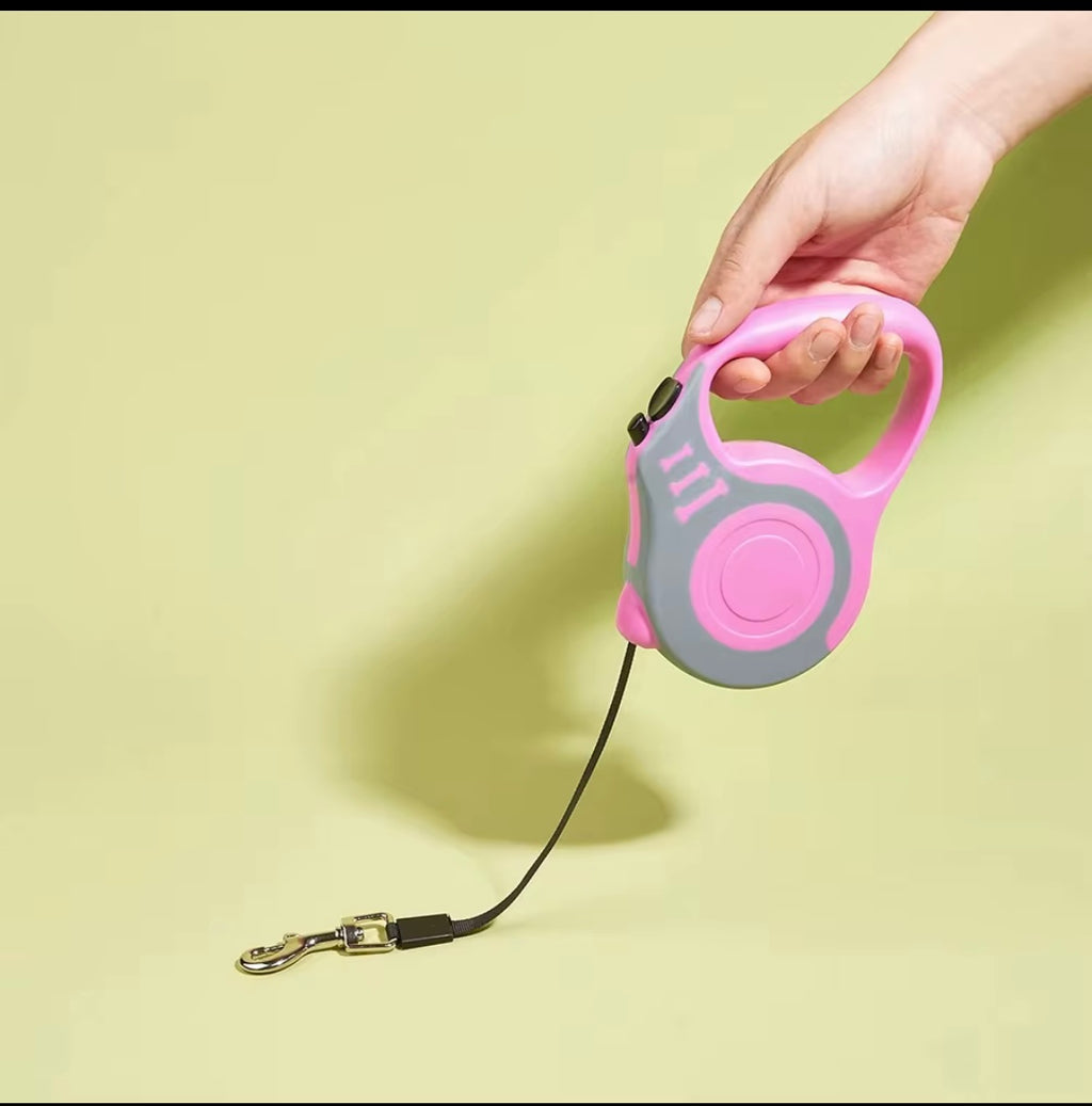Automatic Retractable Durable Nylon Lead Pet Dog Leash for Outdoor, Walking, Hiking